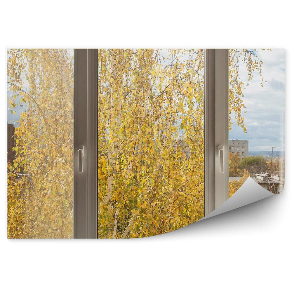 Fototapeta na ścianę Widok z okna na jesienną brzozę