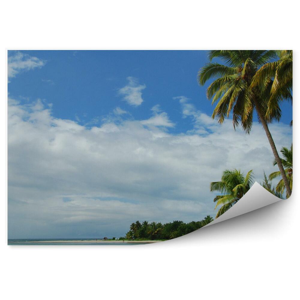 Okleina ścienna Plaża ocean palmy łódka niebo chmury