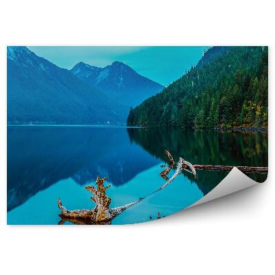 Fototapeta na ścianę Jezioro w Chilliwack kłoda