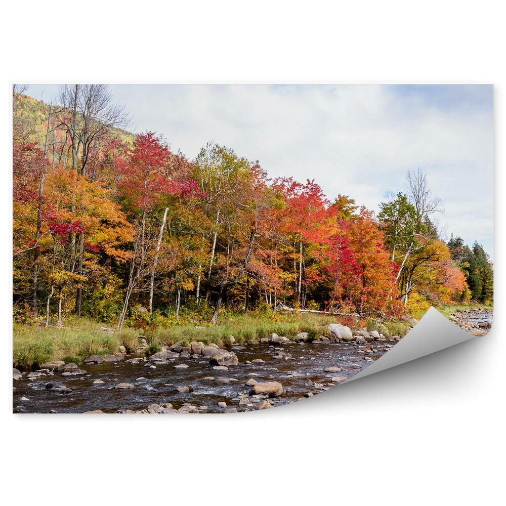 Okleina ścienna Jesienny krajobraz rzeka drzewa liście