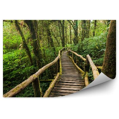 Okleina ścienna Krajobraz dżungla pomost drewniany mech liście