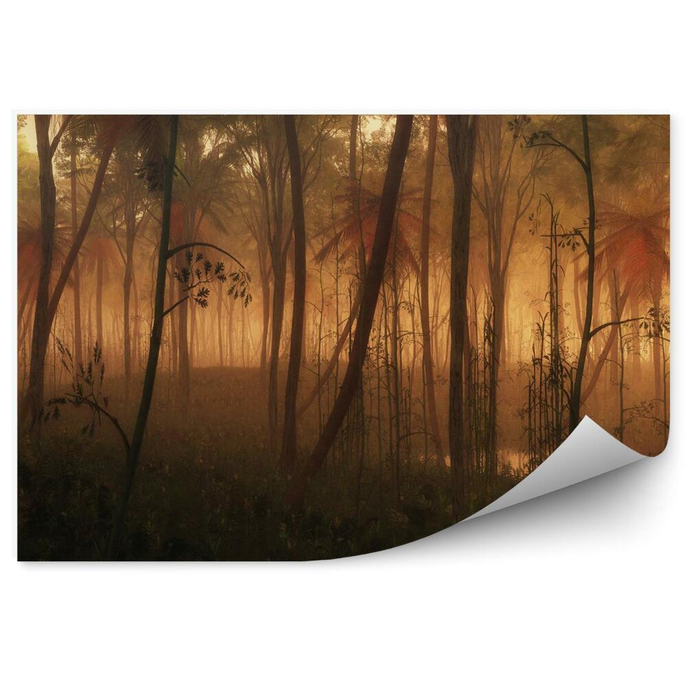 Fototapeta Kałuża wody w mglistym lesie tropikalnym