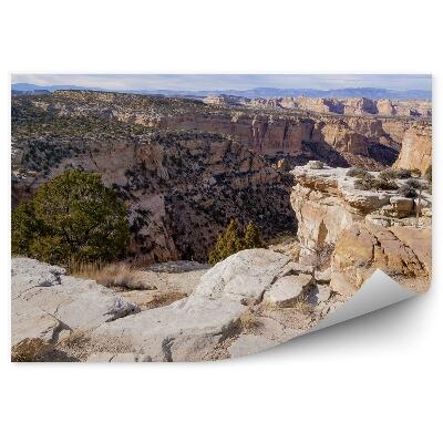 Okleina ścienna Góry skały pustynia drzewa niebo chmury