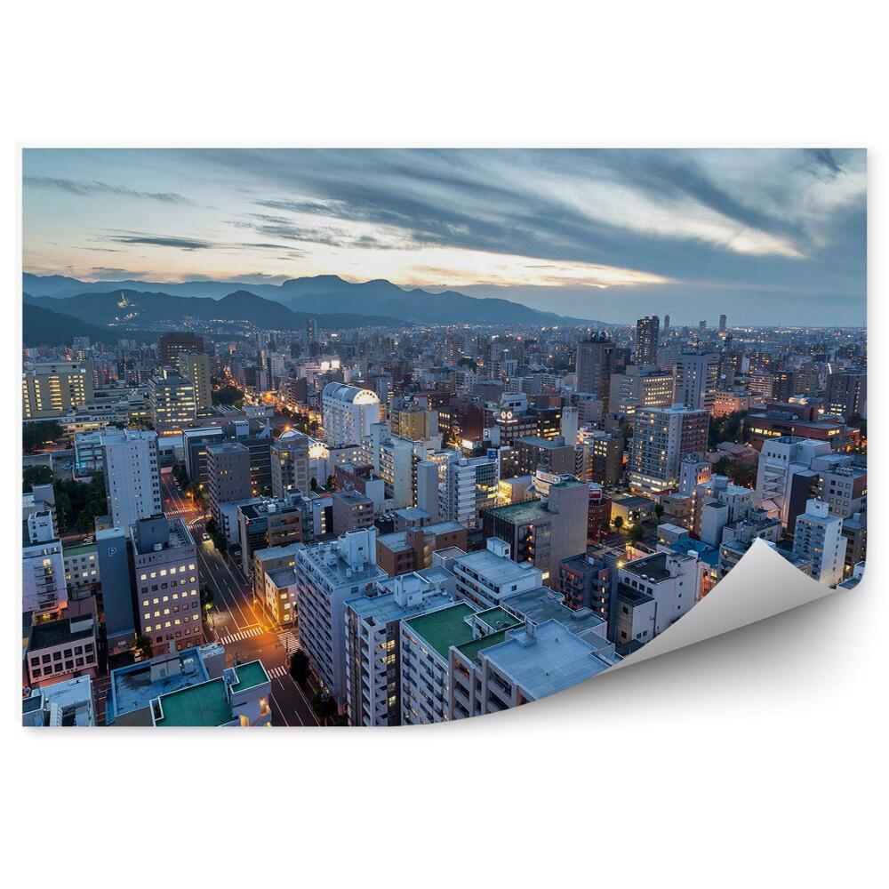 Fototapeta Sapporo panorama miasta z lotu ptaka góry