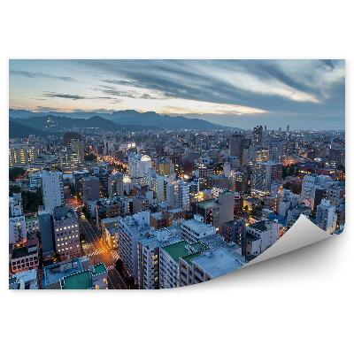 Fototapeta Sapporo panorama miasta z lotu ptaka góry