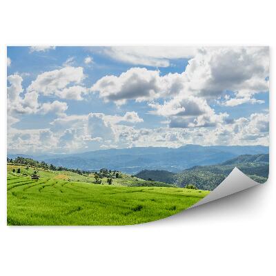 Okleina ścienna Zielone tarasy ryżowe natura tajlandia