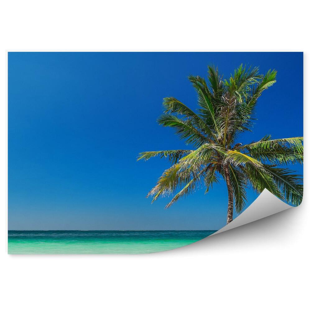 Fototapeta Tropikalna plaża ocean palma niebo