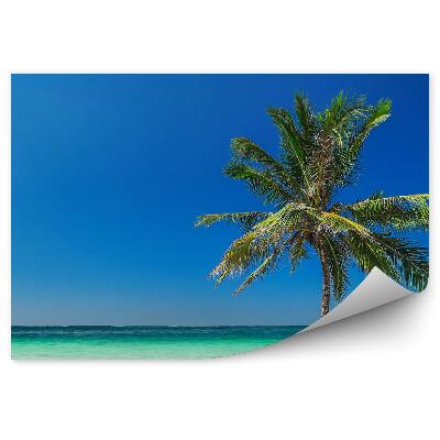 Fototapeta Tropikalna plaża ocean palma niebo