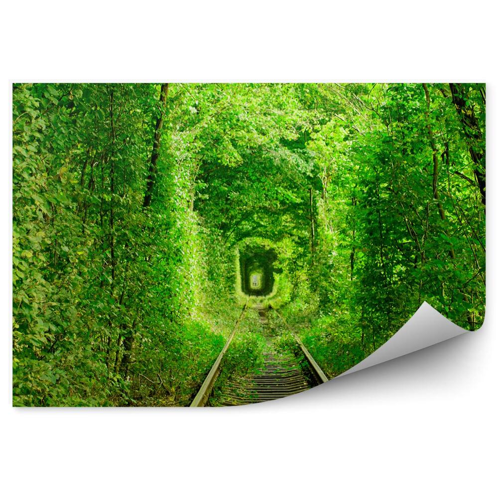 Okleina na ścianę Zielony tunel drzewa tory