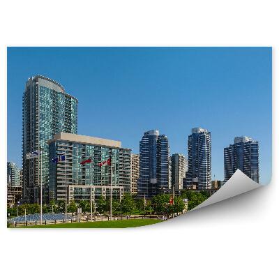 Fototapeta Toronto panorama miasta trawa olympic park