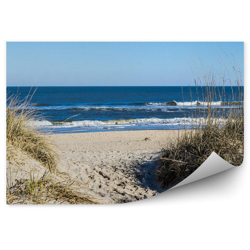 Fototapeta Ocean fale plaża wydmy trawa piasek virginia