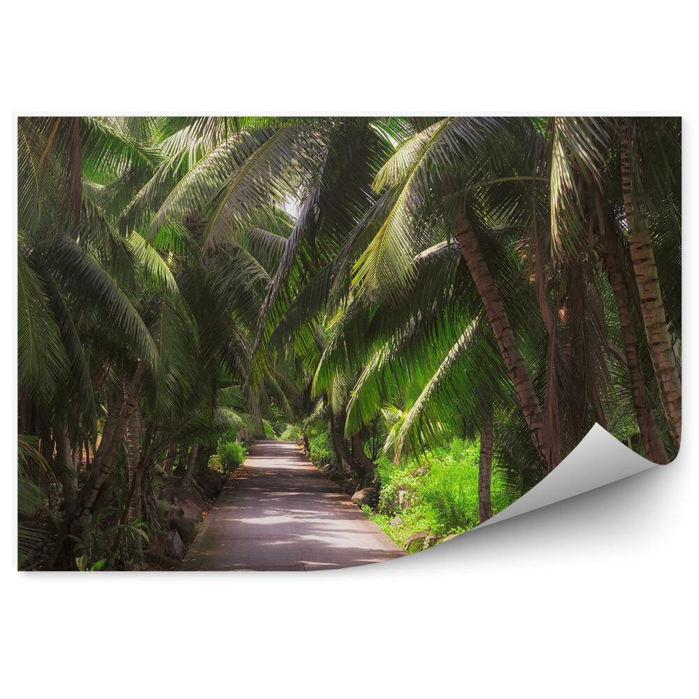 Okleina ścienna Droga szosa palmy zielone krzewy