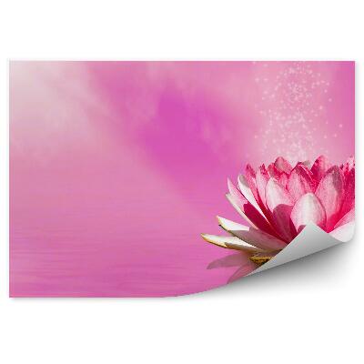 Okleina ścienna Różowy kwiat lotosu promienie słońca różowe tło