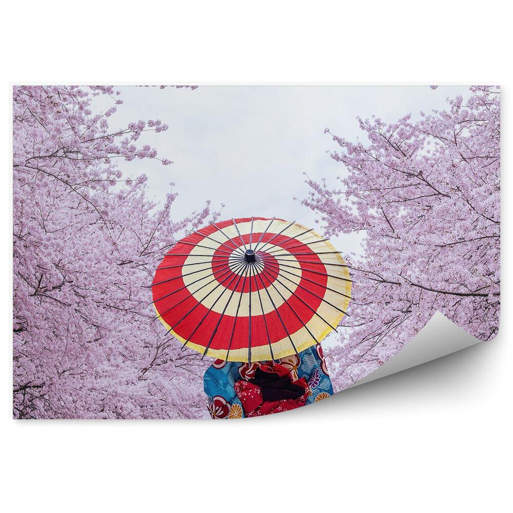 Fotopeta Sakura kwitnące drzewa kobieta spacer park