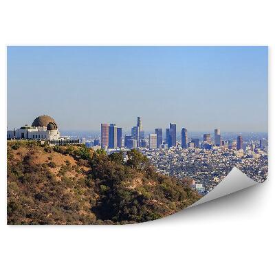 Fototapeta wieżowce świątynia wzgórze drzewa niebo Los Angeles