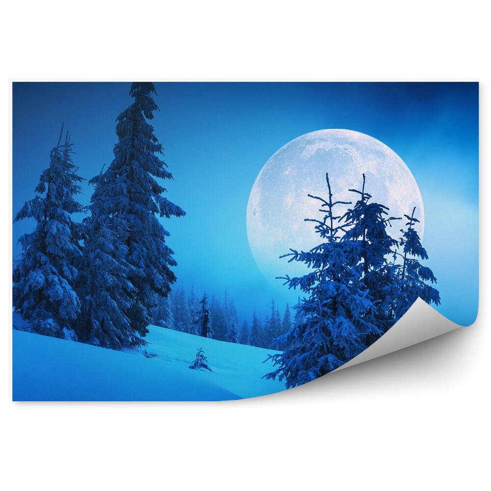 Fototapeta Zimowy las góry księżyc noc