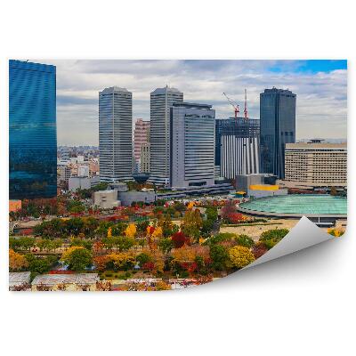 Okleina na ścianę widok z lotu ptaka Tokio Japonia drzewa niebo chmury