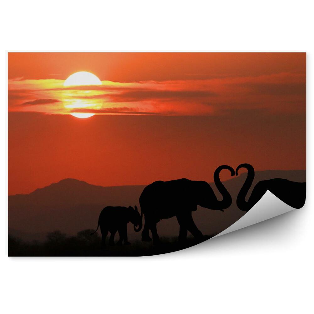 Fototapeta Sylwetka rodziny słoni miłość trąby serce zachód słońca
