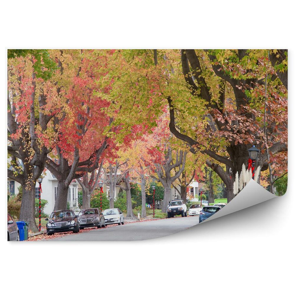 Fototapeta na ścianę Wysokie kolorowe jesienne drzewa ulica auta miasto