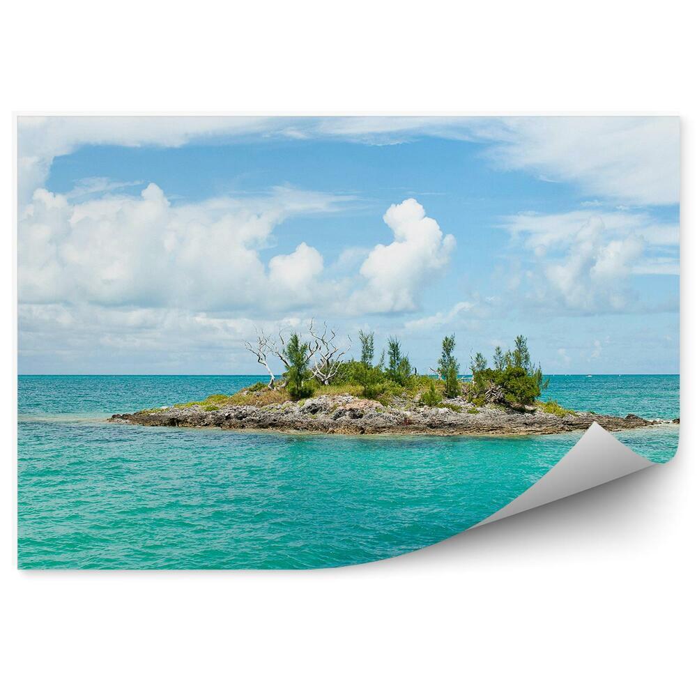 Okleina na ścianę Woda Morze Karaibskie wyspa zieleń