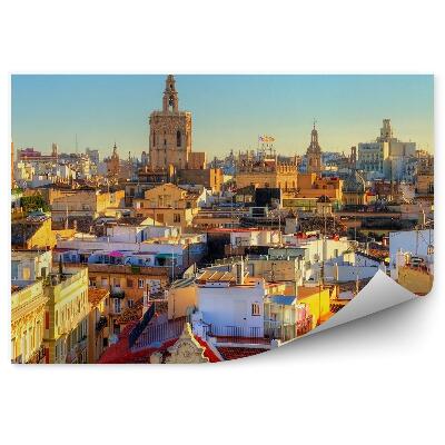 Fototapeta Widok z lotu ptaka stare miasto walencja niebo