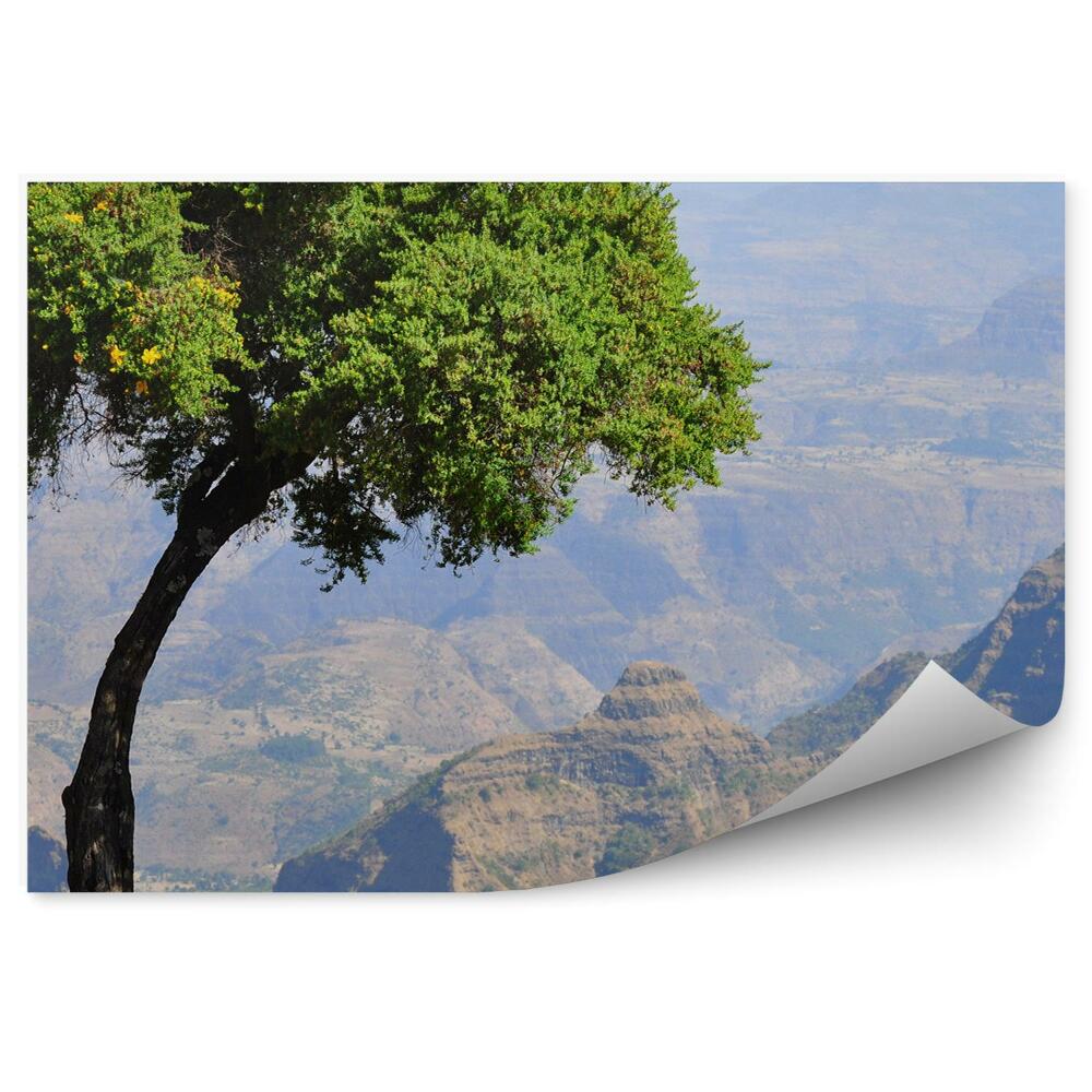 Fototapeta Etiopia góry skały natura afryka