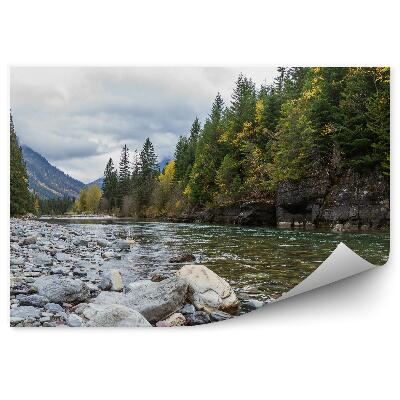 Okleina ścienna Choinki zielone las rzeka kamienie wzgórza