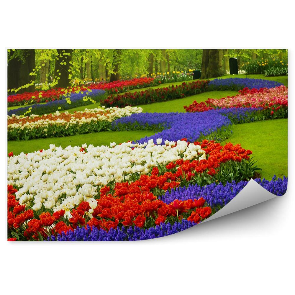 Okleina ścienna Kolorowe wiosenne kwiaty ogród w Holandii