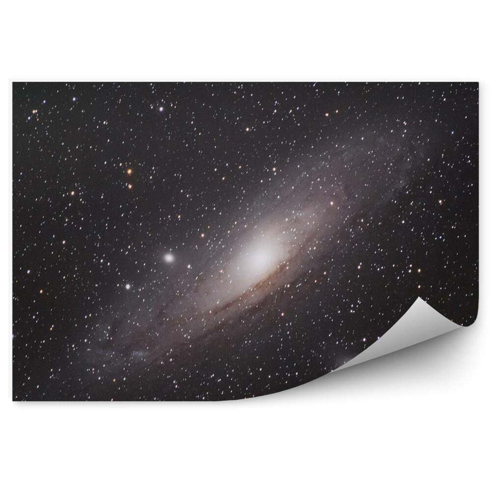 Fototapeta Galaktyka andromedy spiralna gwiazdy