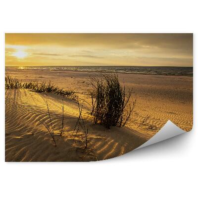 Fototapeta na ścianę Wydmy trawa blask słońca woda