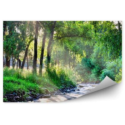 Okleina ścienna Rzeka drzewa zieleń krzewy blask słońca