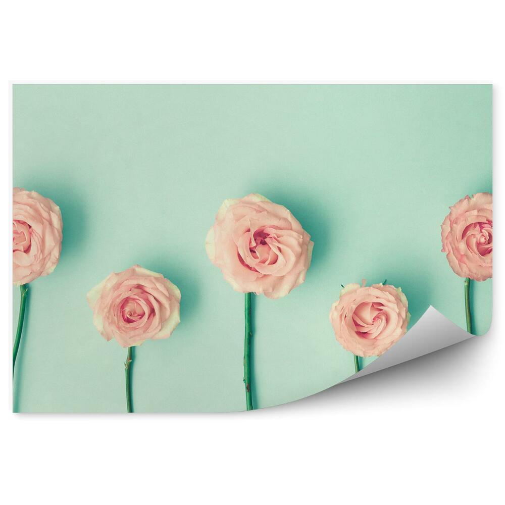 Fototapeta na ścianę Różowe róże łodygi miętowe tło