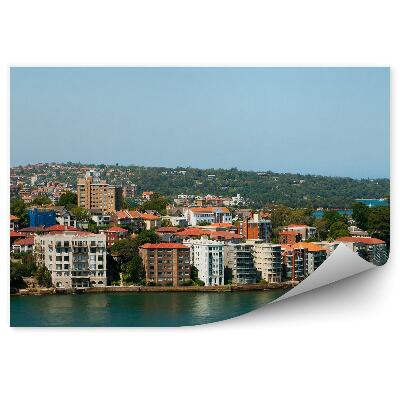 Okleina na ścianę budynki drzewa ocena niebo Sydney