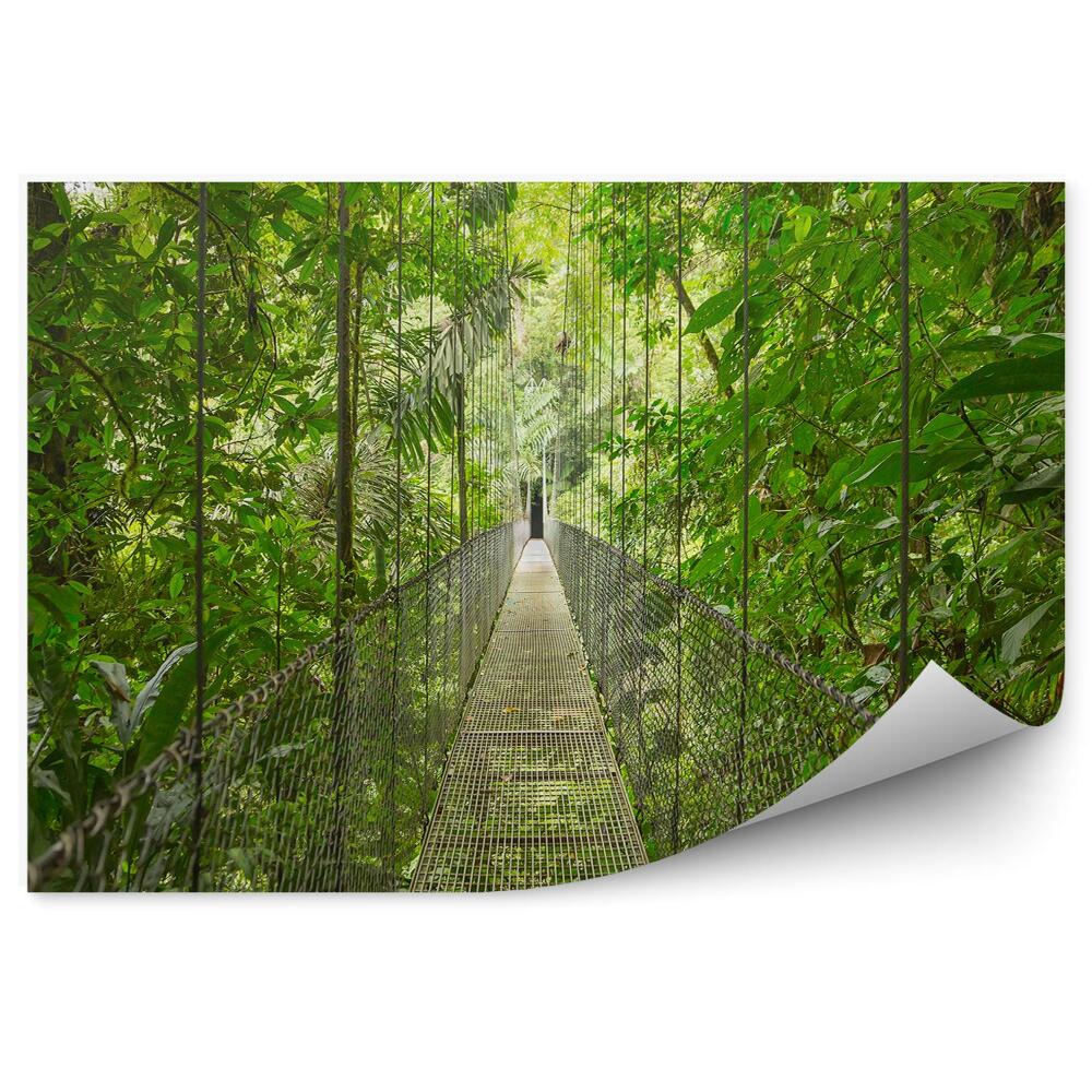 Okleina na ścianę Lasy deszczowe wiszący most ścieżka