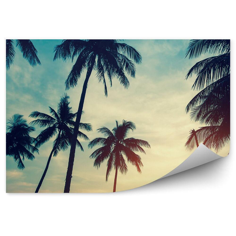 Fototapeta na ścianę Sylwetki palm na tle zachodu słońca