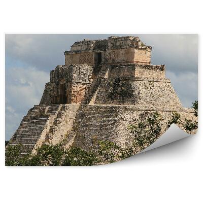 Okleina na ścianę Natura drzewa otaczające starożytną świątynię