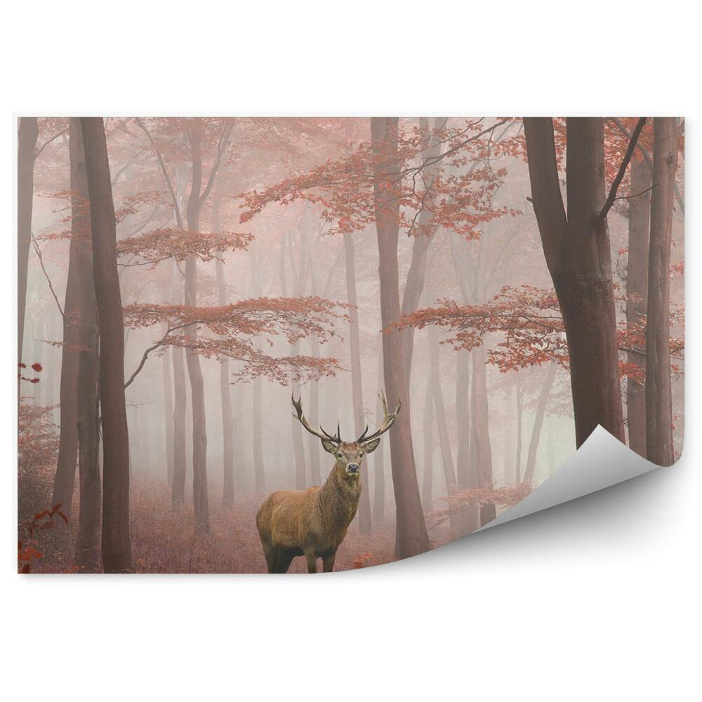 Okleina ścienna Jeleń mgła jesienny las