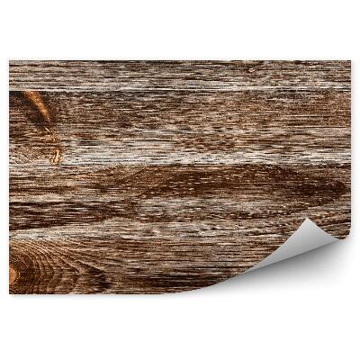 Fototapeta samoprzylepna Tekstura drewna ze słojami