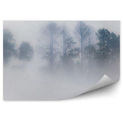 Okleina ścienna Mglisty las
