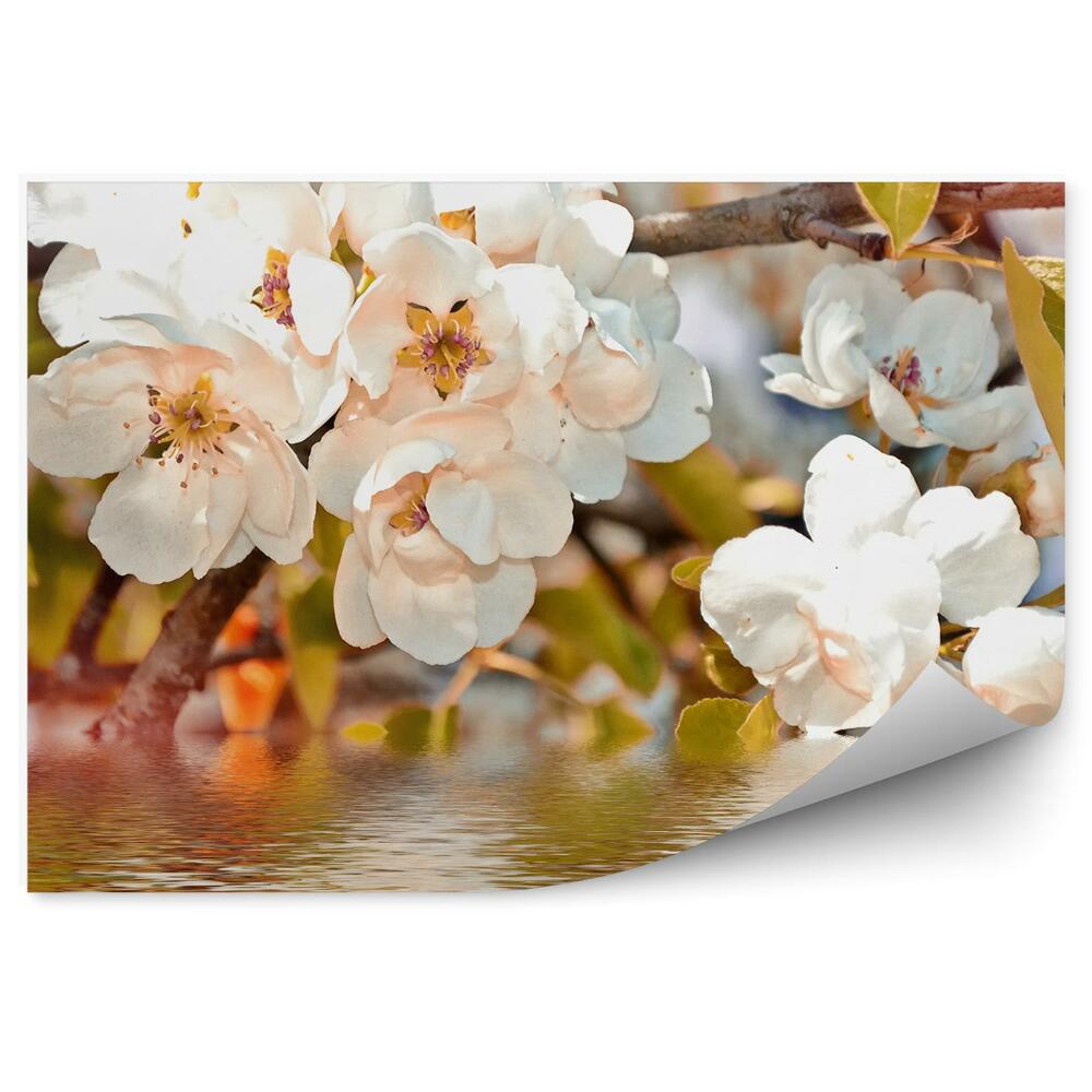 Okleina ścienna Białe kwiaty gałąź woda liście jabłoni