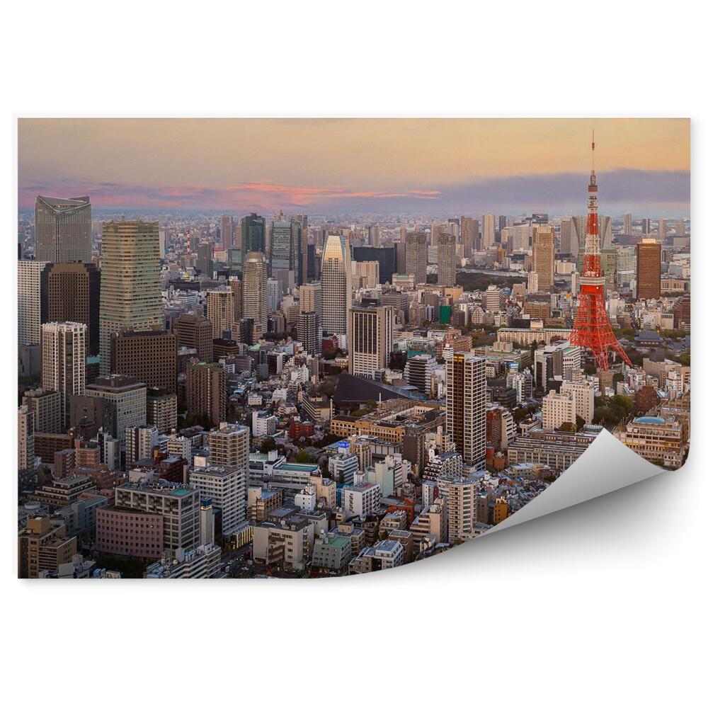 Okleina ścienna Tokio wieżowce drzewa budynki niebo chmury zachód słońca