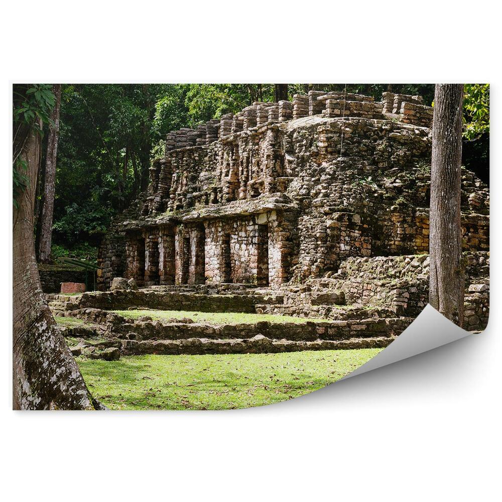 Okleina ścienna Ruiny architektura majowie meksyk