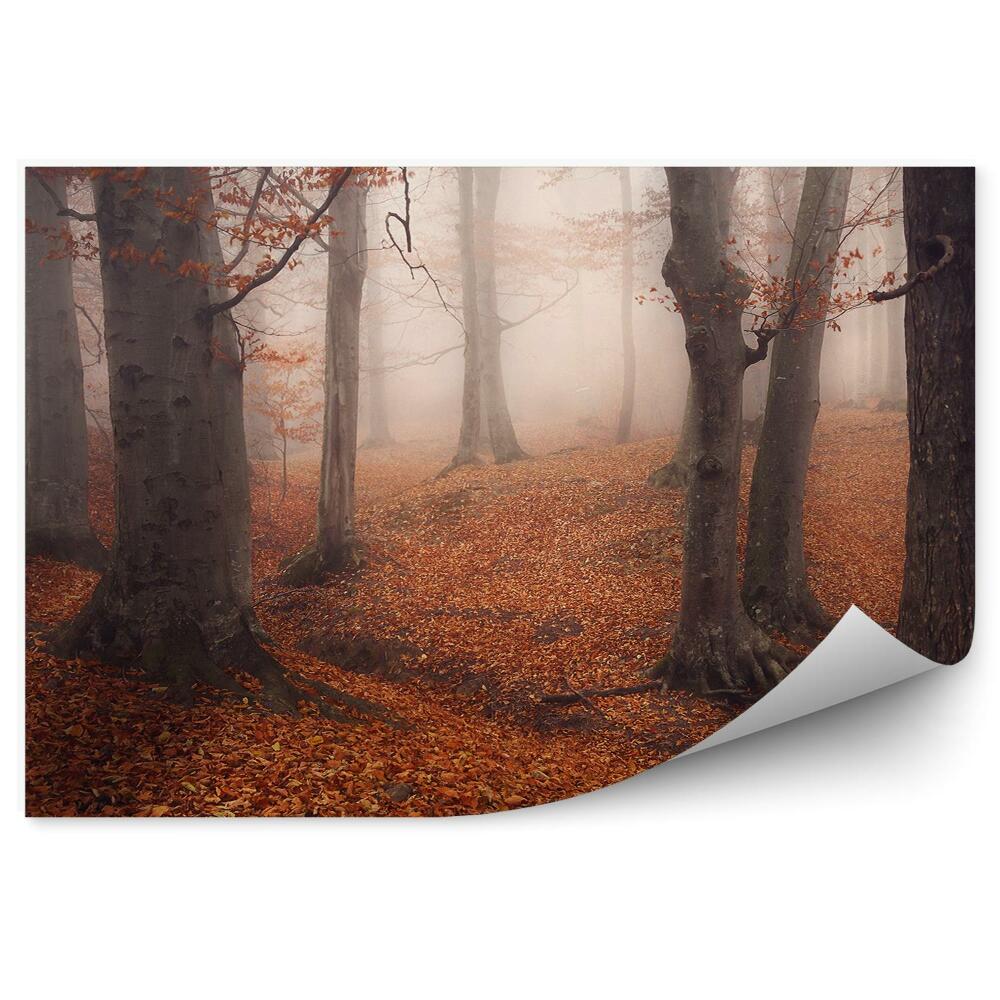 Okleina ścienna Jesienny las liście