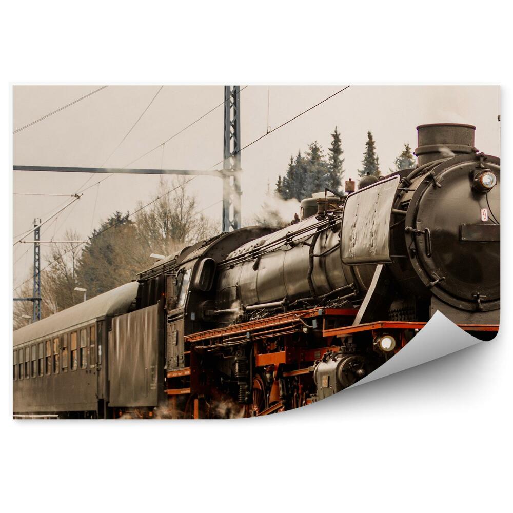 Fototapeta na ścianę Stary pociąg parowy na torach