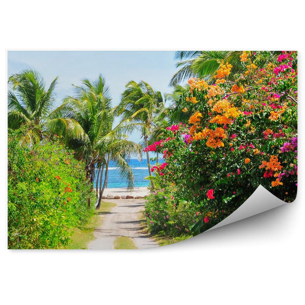 Fototapeta na ścianę kwiaty palmy morze Karaibskie płotek ścieżka