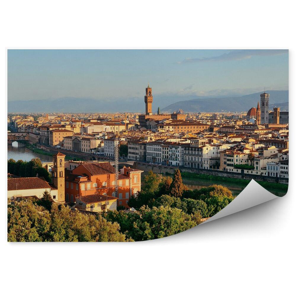 Fototapeta na ścianę widok z lotu ptaka Florencja