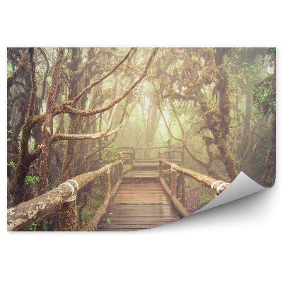 Okleina ścienna Las drzewa drewniany pomost