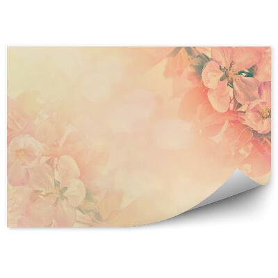 Okleina ścienna Pomarańczowe kwiaty jabłoni tło