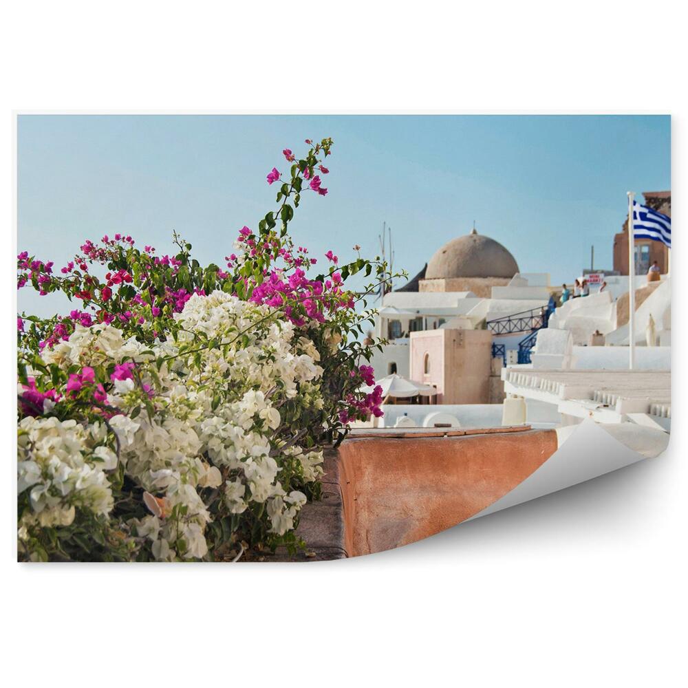Fototapeta kwiaty rośliny budynki niebo Santorini Grecja flaga