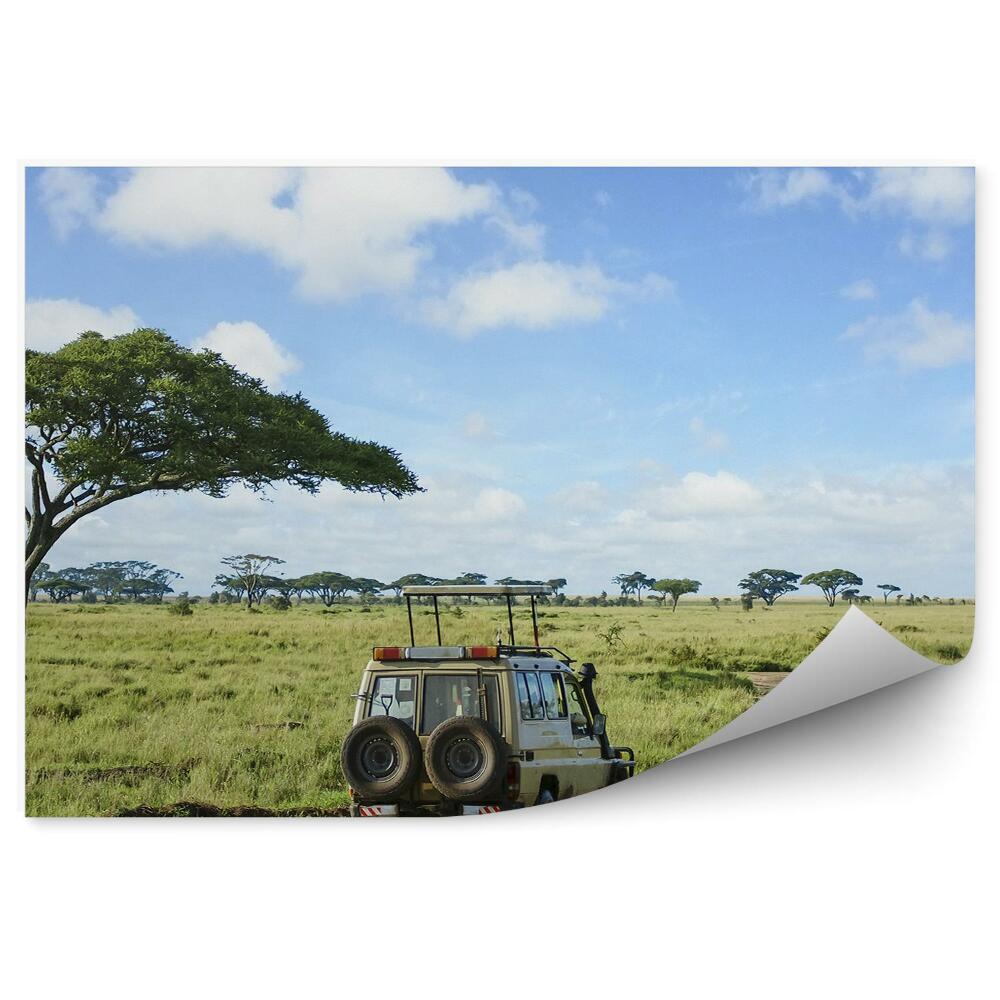 Okleina na ścianę auto terenowe drzewo trawa kałuże droga niebo chmury Safari